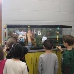 Pets in Classroom