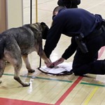 (Photo: Credit Margaret Ely) Zira is sworn-in as an official member of the Police Department and stamps the book