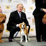US-WESTMINSTER0-DOG SHOW