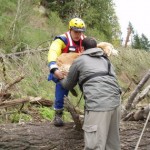 Dog Rescue 1