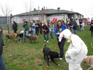 Easter Dogs 2