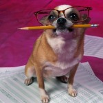 Smart Dog
