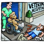 Vet Bills