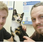 Rescued Cat