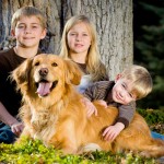 Golden Retriever Family Dog