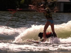 Beaster Surfing