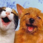 Happy Cat and Dog