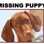 Missing Pets