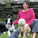 Most Effective and Humane Ways to Handle Fearful Dogs