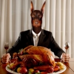 Thanksgiving Safety Tips for Pets