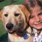 Software Teaches Children to Interact Safely With Dogs