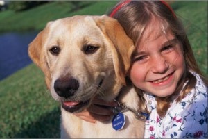 Dog Safety
