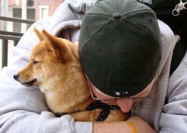 Helping Lost Pets Get Back Home