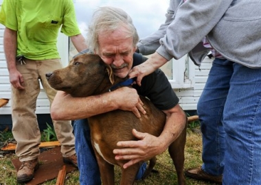 Dog Survived Alabama Tornado