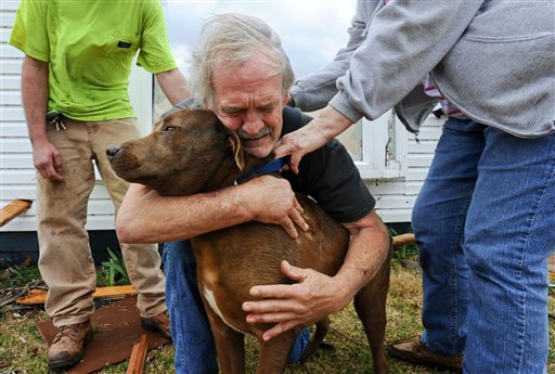 4 Surviving Dogs of the Alabama and Indiana Tornadoes