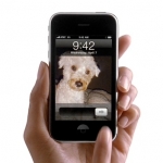 New Application Helps Dog Lovers and Owners to Study Dogs