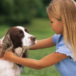 Girl Scout Troup’s Love for Animals Enhances Community and Learning