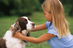 Pets in the Classroom