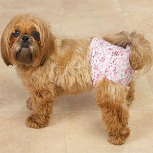 Diaper For Dogs
