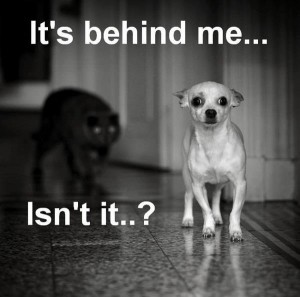 Behind Me