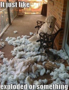 Exploded