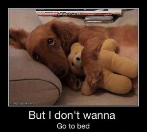 Go to Bed