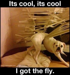 Its Cool