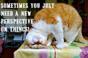 New Perspective
