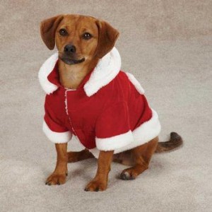 Christmas Dog Costume