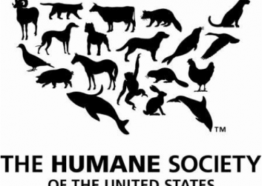 animal protection laws