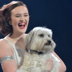 Pudsey, Britain’s Beloved Dancing Dog