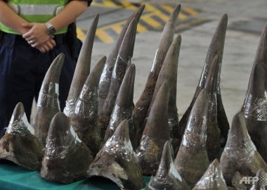 illegal wildlife trade