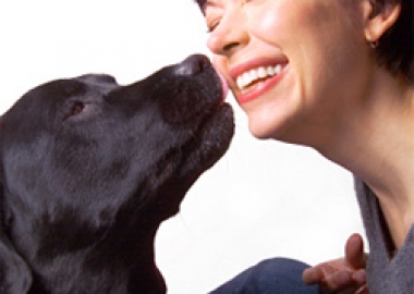 dogs and diseases