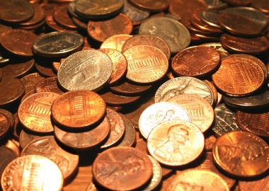 dog ate pennies