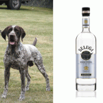 Dogs and Vodka… An Unusual Duo