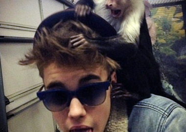 exotic pets