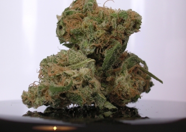 medicinal marijuana