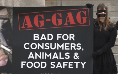 ag-gag laws