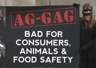 ag-gag laws