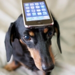 Top 5 Pet Apps