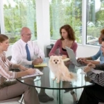 Purina Website Shows Pets at Work Reduce Stress