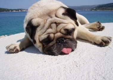 heat stroke