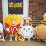 Funniest Pets in Halloween Costumes