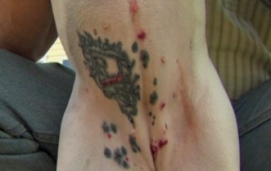 dog tattoo